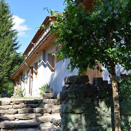 Pokoje Goscinne Arnika Gorska Szklarska Poreba Dış mekan fotoğraf