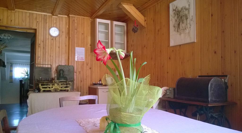 Pokoje Goscinne Arnika Gorska Szklarska Poreba Dış mekan fotoğraf