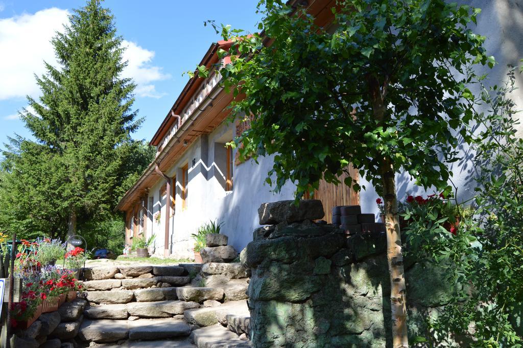 Pokoje Goscinne Arnika Gorska Szklarska Poreba Dış mekan fotoğraf